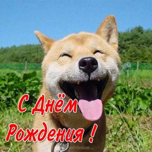 Открытка к дню рождения женщине смешная