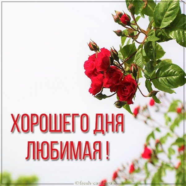 Открытка хорошего дня любимой женщине