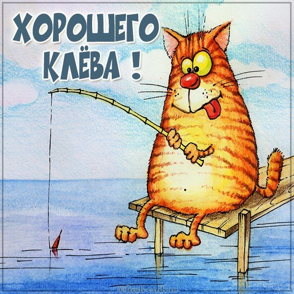 Открытка хорошего клева