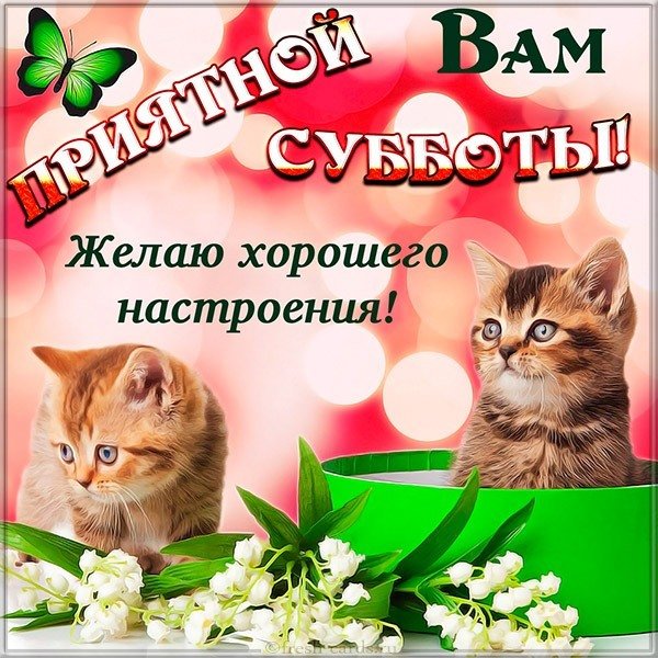 Открытка хорошего субботнего настроения