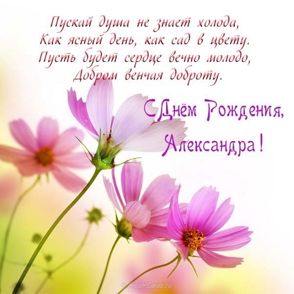 Открытка красивая с днем рождения Александре женщине