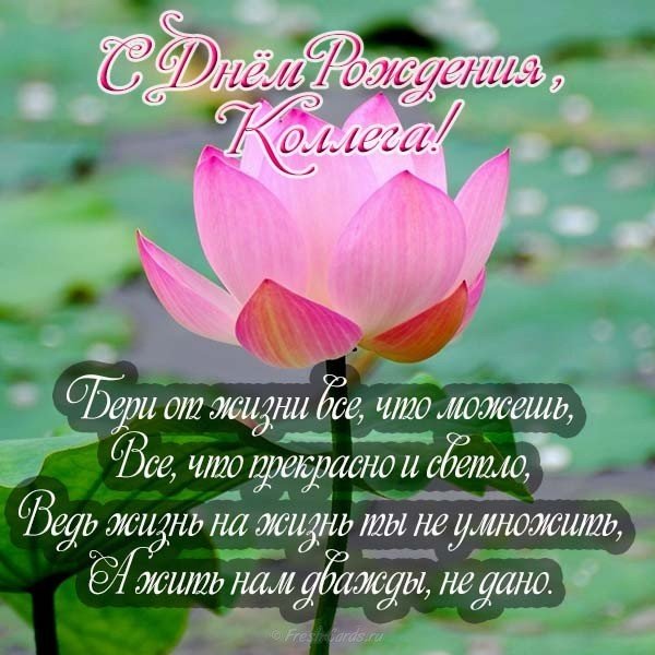 Открытка красивая с днем рождения коллеге учителю