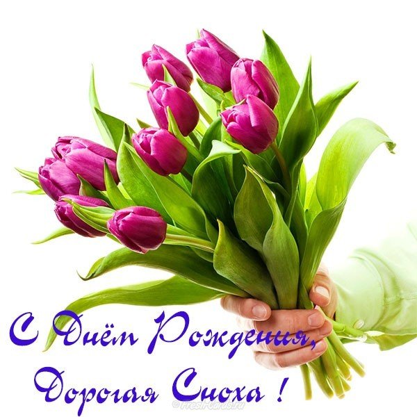 Открытка красивая с днём рождения снохе от золовки