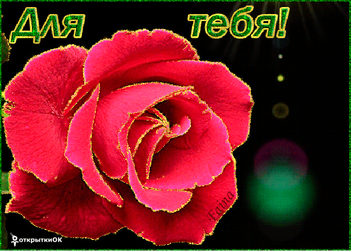 Открытка красная роза для тебя