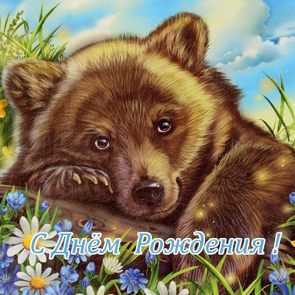 Открытка медведь с днем рождения