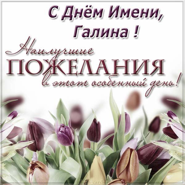 Открытка на день имени Галина