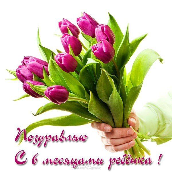 Открытка на полгода ребенку мальчику