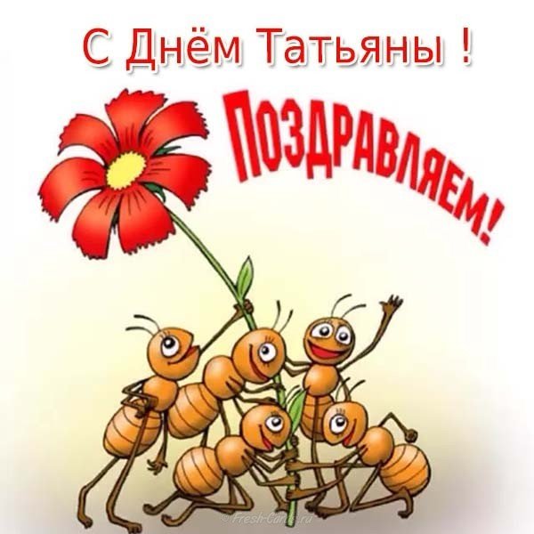 Открытка на Татьянин день прикольная