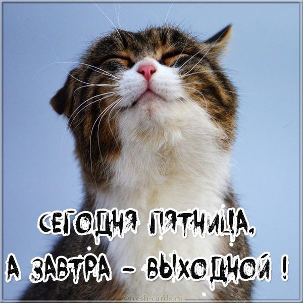 Открытка на тему пятницы