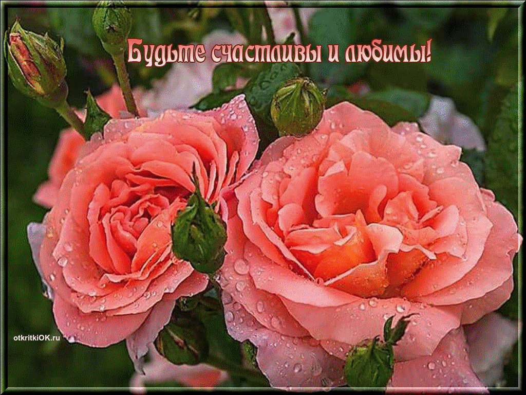 Открытка онлайн бесплатно