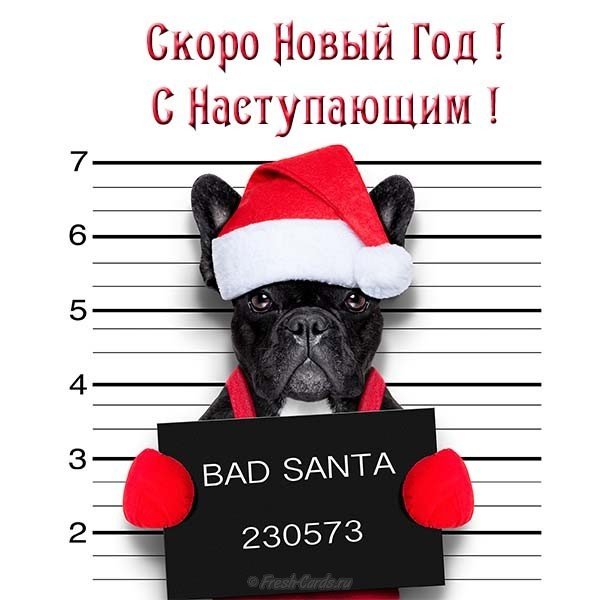 Открытка перед новым годом
