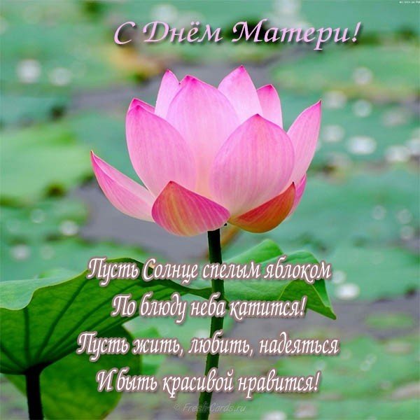 Открытка поздравление день матери
