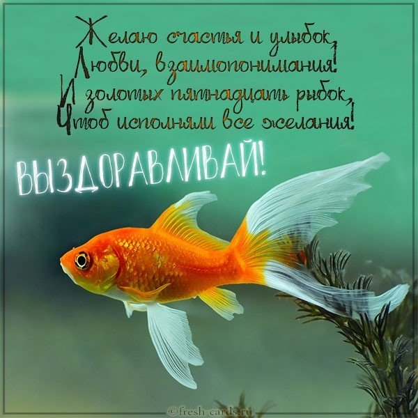 Открытка пожелать выздоровления