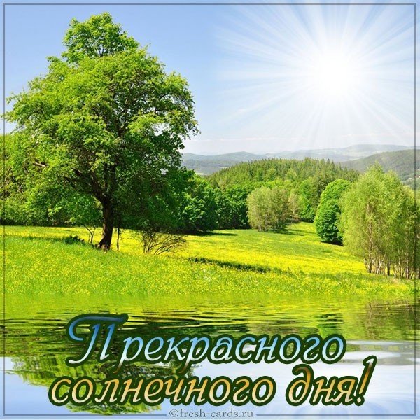 Открытка прекрасного солнечного дня