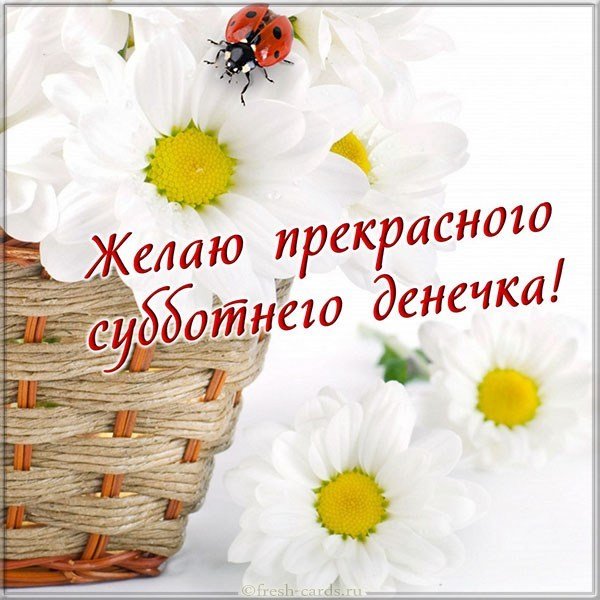 Открытка прекрасного субботнего дня
