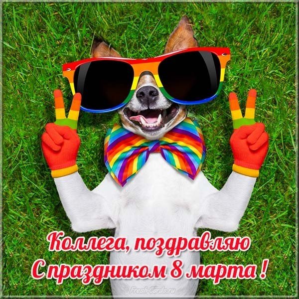 Открытка прикольная с 8 марта коллегам женщинам