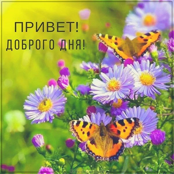 Открытка привет доброго дня