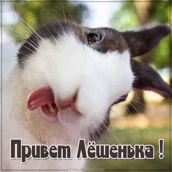 Открытка привет Лешенька