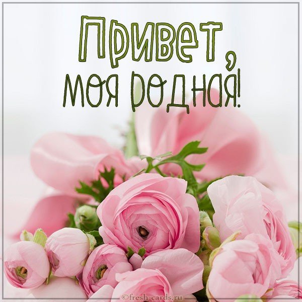 Открытка привет мои родная