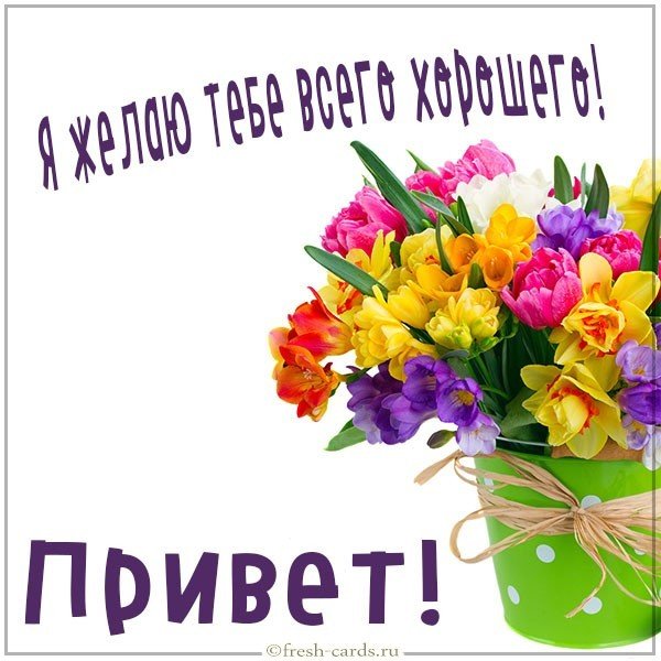 Открытка привет я желаю тебе всего хорошего