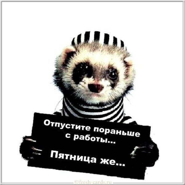 Открытка про работу в пятницу