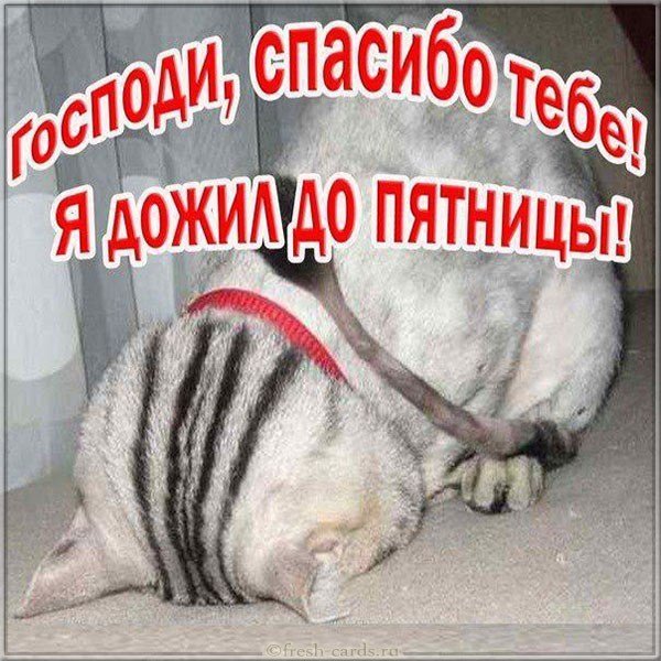 Открытка пятница прикольная