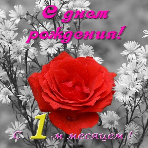 Открытка с 1 месяцем мальчику