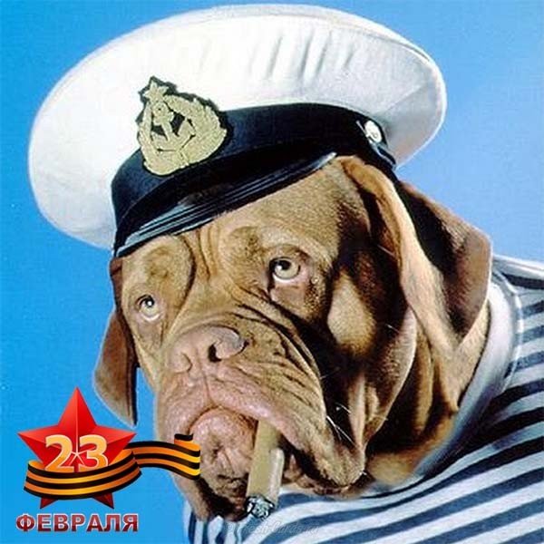 Открытка с 23 февраля морская тема