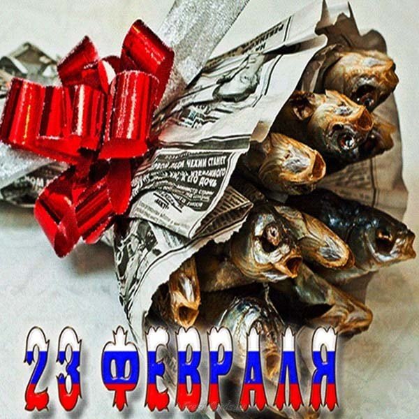 Открытка с 23 февраля прикольная картинка
