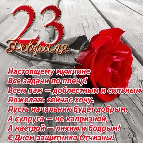 Открытка с 23 февраля с цветами
