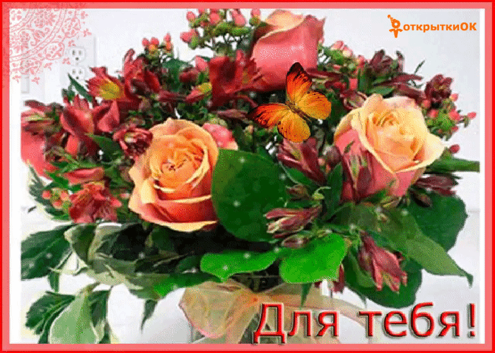 Открытка с бабочкой