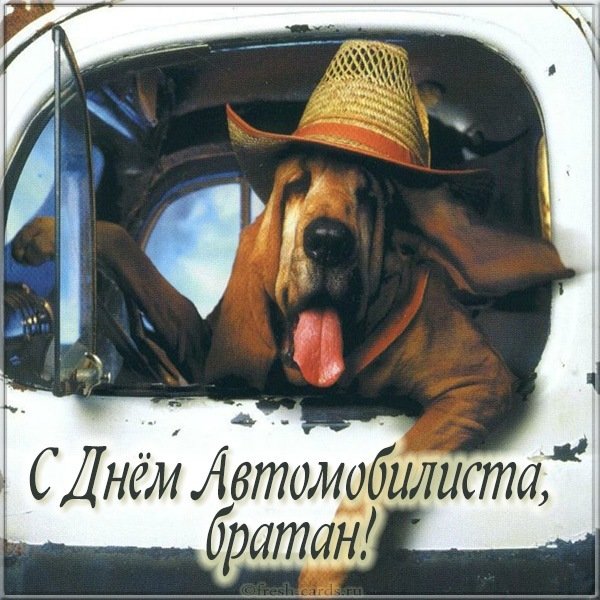 Открытка с днем автомобилиста с юмором