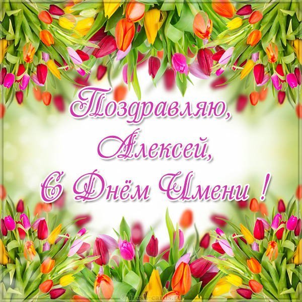 Открытка с днем имени Алексея