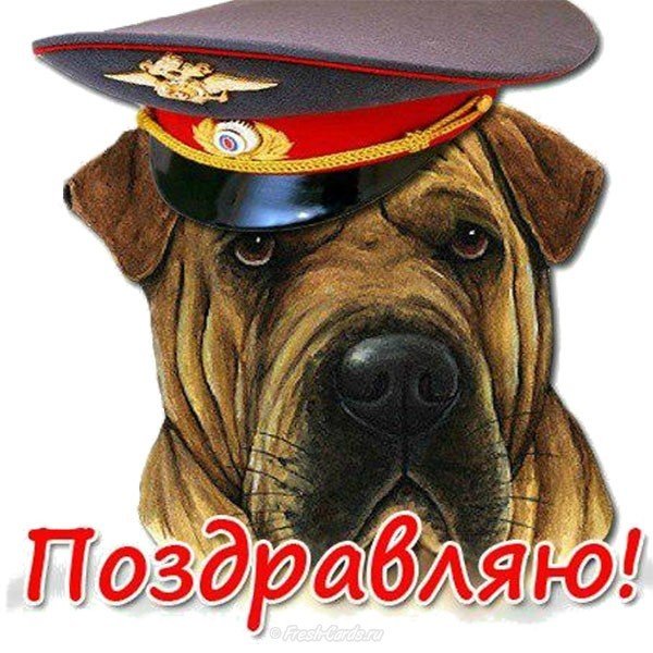 Открытка с днем милиции с приколом