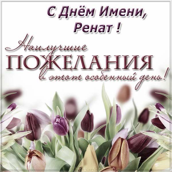 Открытка с днем Рената для Рената