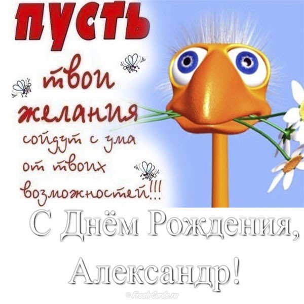 Открытка с днем рождения Александр прикольная