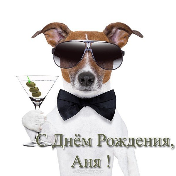 Открытка с днем рождения Аня прикольная