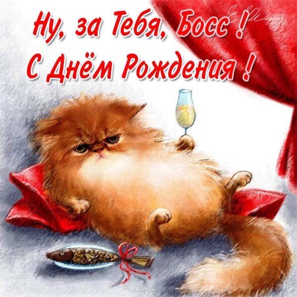 Открытка с днем рождения для босса