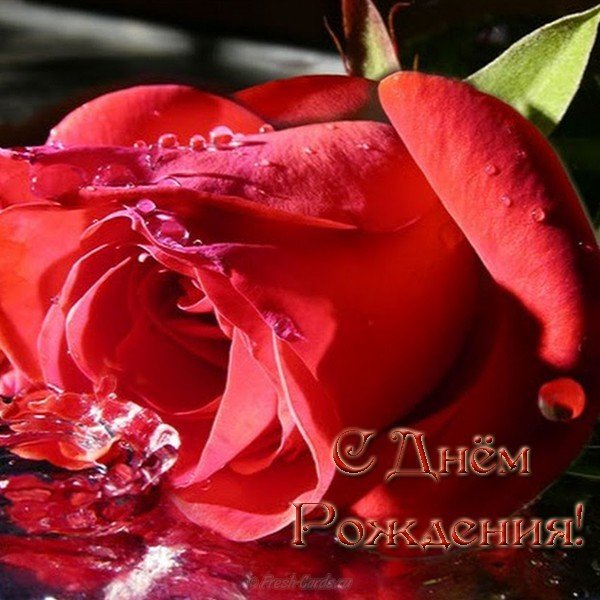 Открытка с днем рождения для девушки