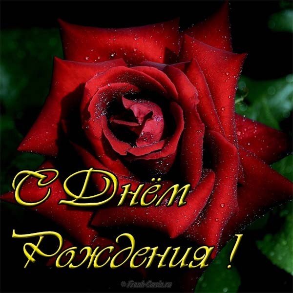 Открытка с днем рождения для молодой женщины