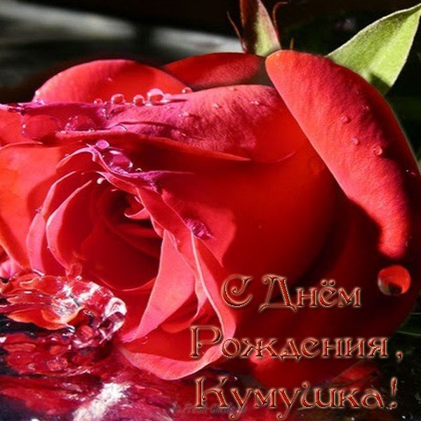 Открытка с днем рождения куме скачать бесплатно