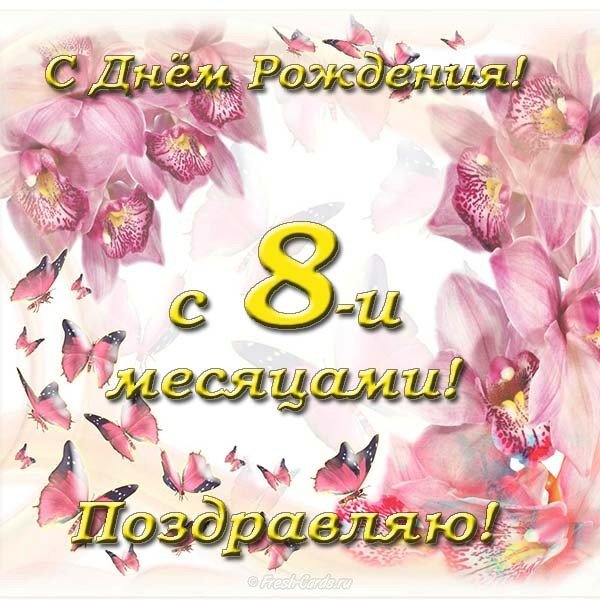 Открытка с днем рождения мальчику 8 месяцев