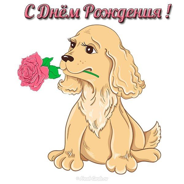 Открытка с днем рождения маленькой девочке