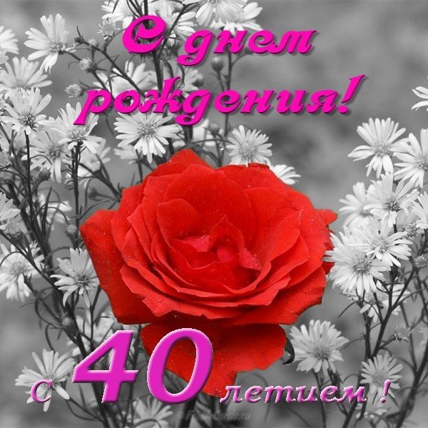 Открытка с днем рождения с 40 летием