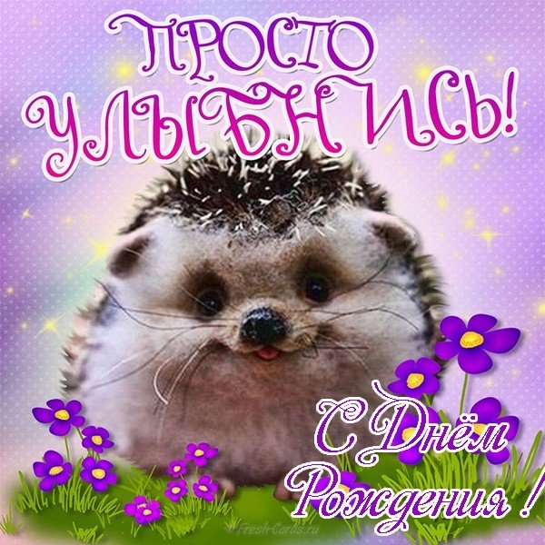 Открытка с днем рождения с ежиком