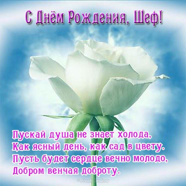 Открытка с днем рождения шефу женщине