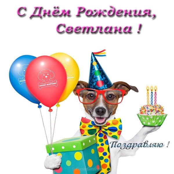 Открытка с днем рождения Светлане прикольная