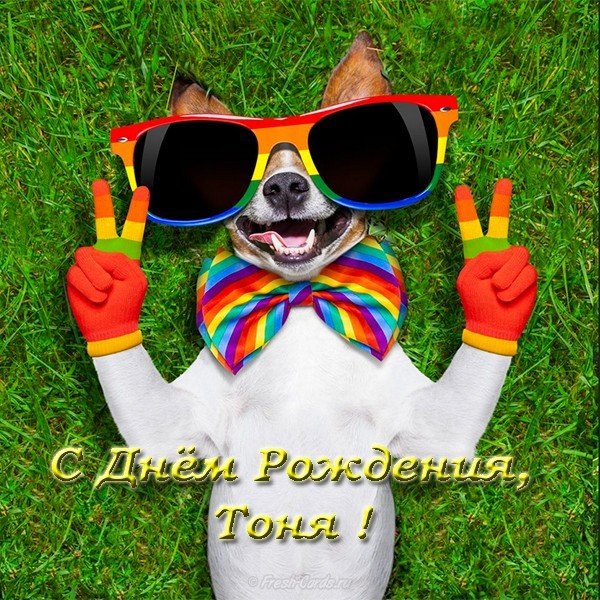 Открытка с днем рождения Тоня