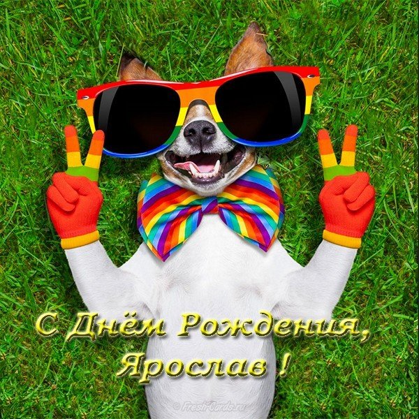 Открытка с днем рождения Ярослав