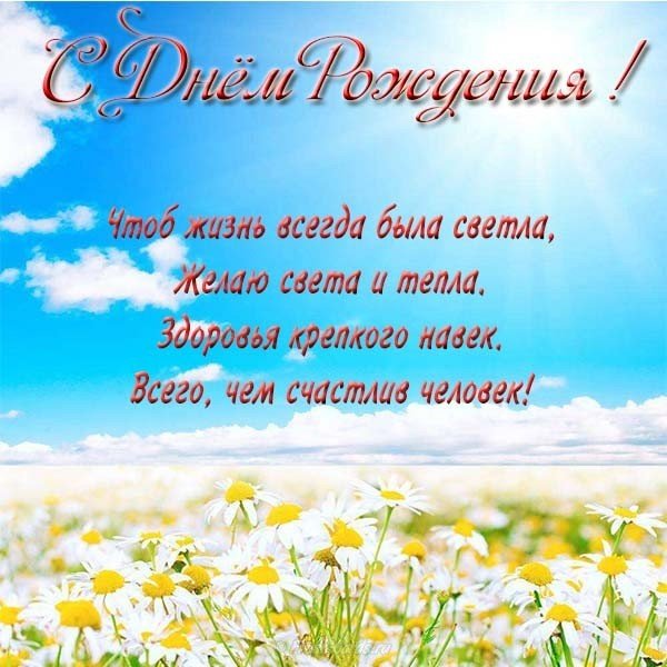 Открытка с днем рождения женщине красивая ромашки